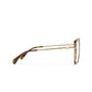 Butterfly Eyeglasses
