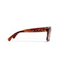 Brown Polarized