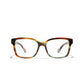 Yellow Tortoise & Brown